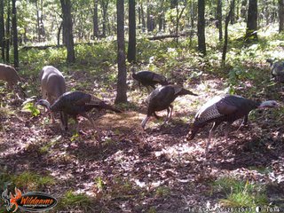 Property photo 28 - REAL ESTATE AUCTION - 1,000+/- ACRES OFFERED IN 10 TRACTS IN PITTSBURG CO., OKLAHOMA